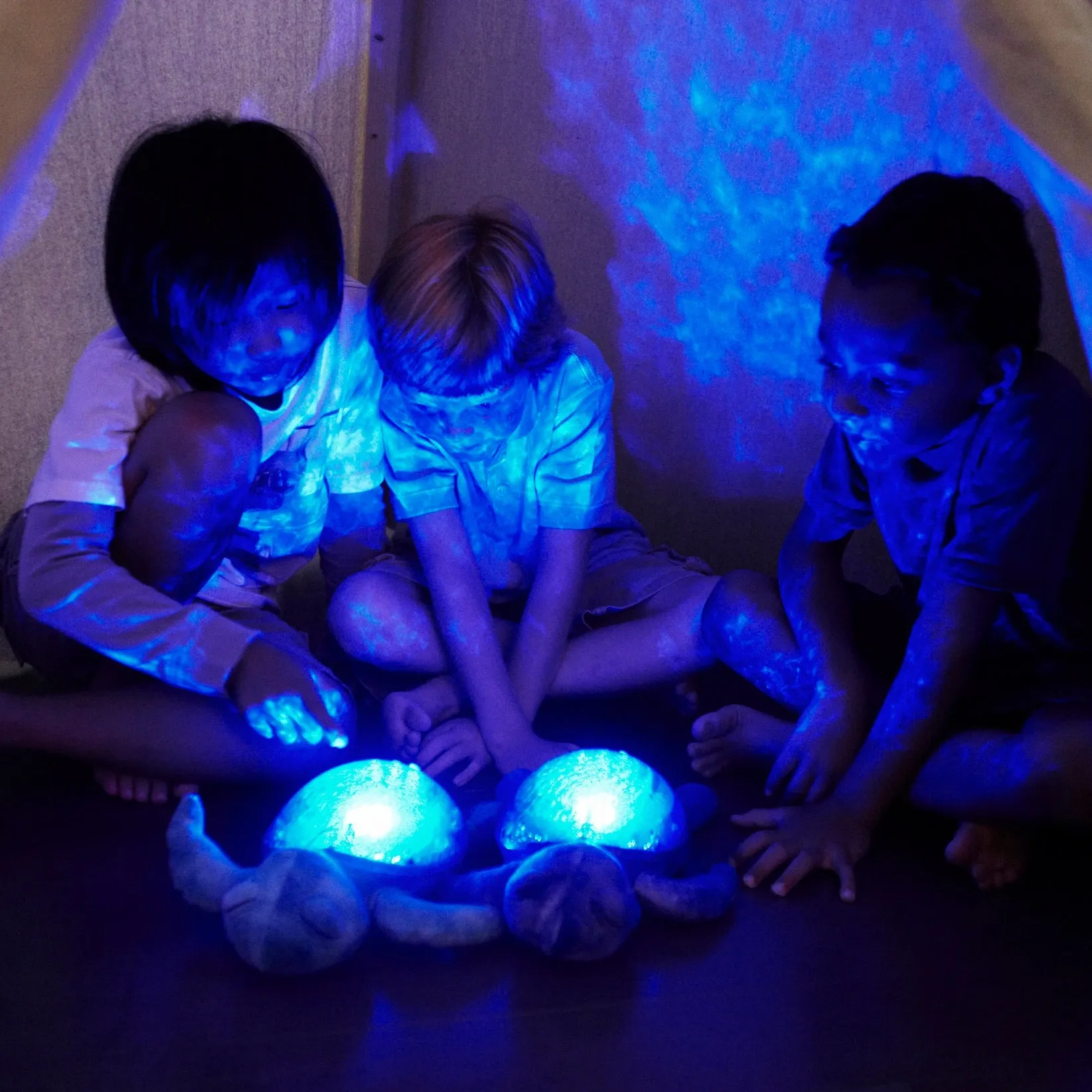 Cloud b -Tranquil  Turtle | Soothing Projector Nightlight Aqua