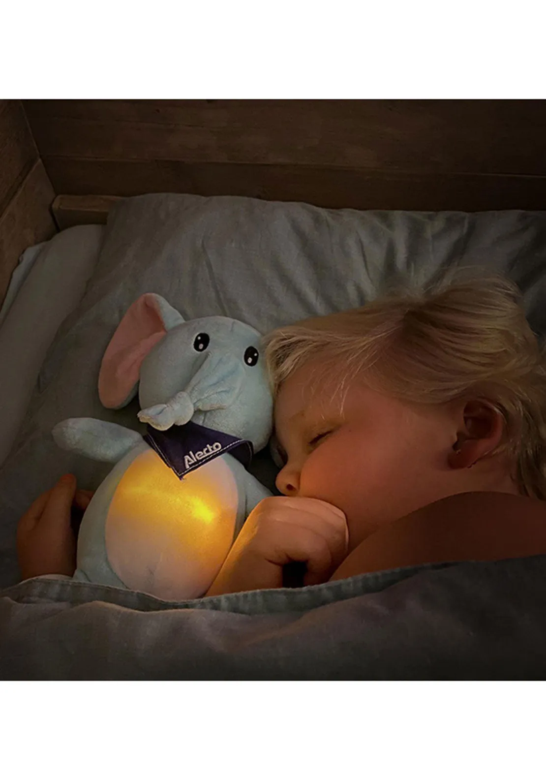 Cuddly Elephant & Night Light | Bc350