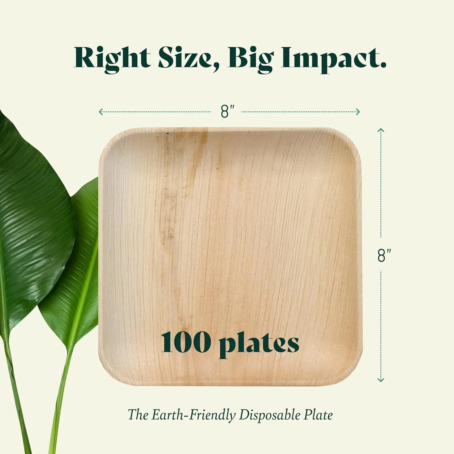 Leaf Plates Bamboo Like Disposable 8 Inch Square Party Bulk Pack 100 Pc - Compostable, Biodegradable, Eco Friendly Heavy Duty