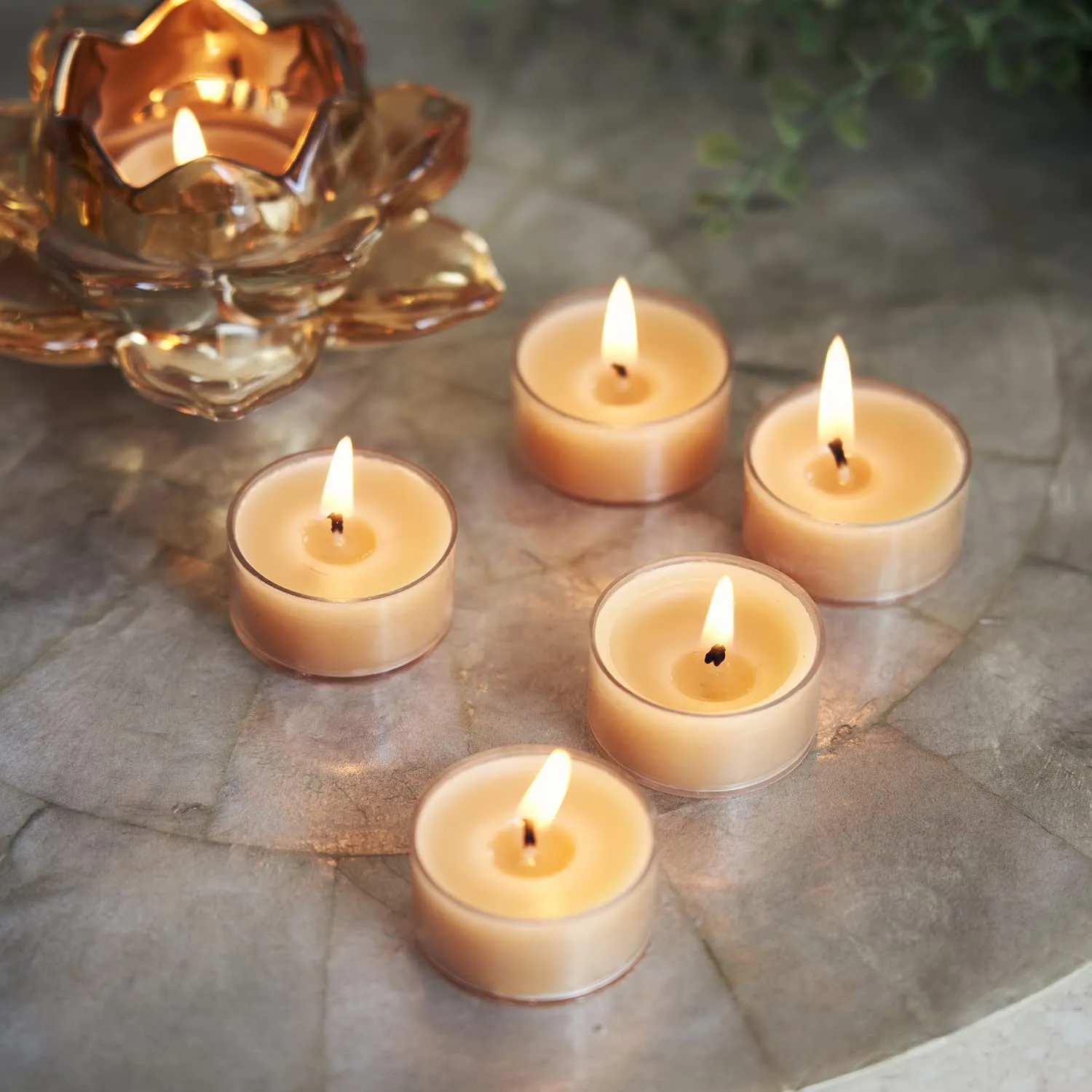 Pure Home and Living Set of 24 Beige Autumn Fruit 6 Tea Lights