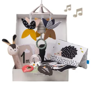 Taf Toys Black & White Newborn Kit